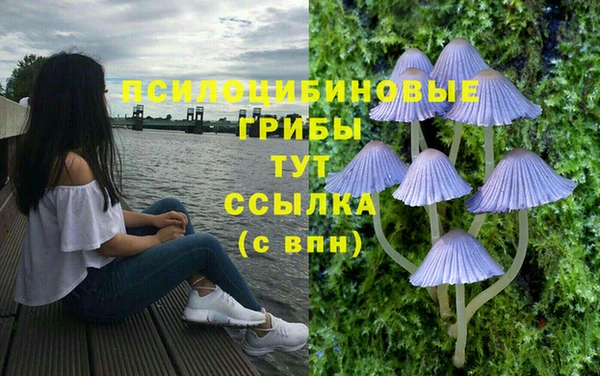 дживик Беломорск