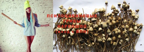 a pvp Белоозёрский