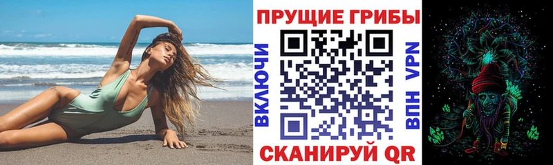 ссылка на мегу зеркало что такое наркотик Безенчук Псилоцибиновые грибы Psilocybe